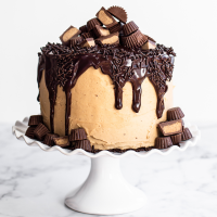 Fudge Brownie Cake